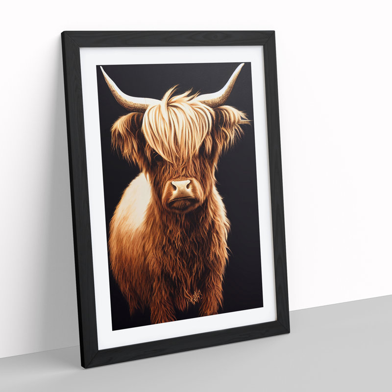 A Splendid Highland Cow - Print, Black Framed, White, 48cm H x 36cm W