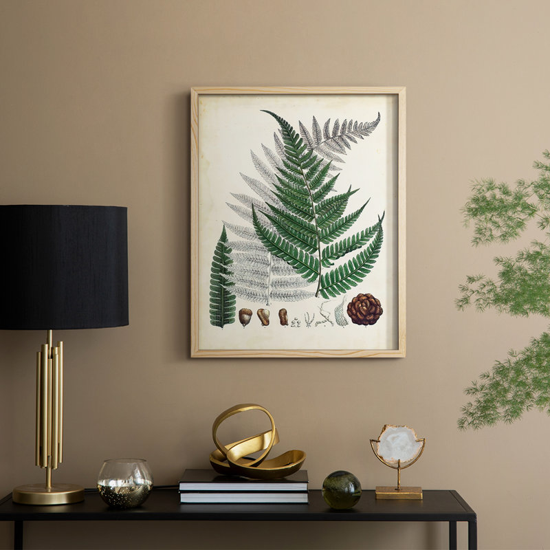 «Ferns II», reproduction encadrée - bois massif, H 21 po x l 17 po