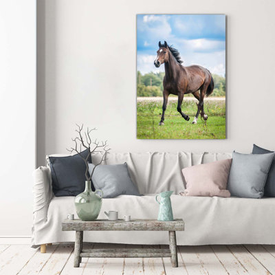 Horse On The Field - Wrapped Canvas Print