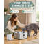 10L Stainless Steel Automatic Pet Fountain for multi-pet homes, supplied with 4 filters and featuring an ultra-quiet pump with circulating water flow.