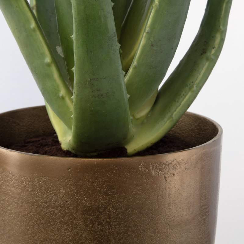 Fausse plante d'aloès en pot de ciment 37 po