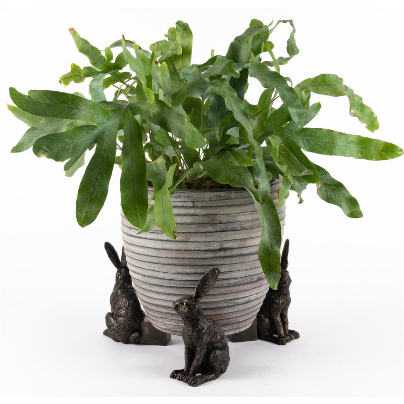 Eunice Weather Resistant Planter Feet