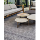 Azman Rectangle Indoor/Outdoor Area Rug in Ivory/Silver