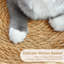Natural Typha Orientalis Woven Pet Bed Set With Washable Cushion & Warm Blanket For Small Medium Pets,3-in-1 Washable&Breathable Cat Bed Set