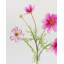 Real Touch White Cosmos 29 po-904251297