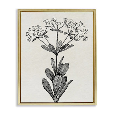 Cadre flottant Classic Cuts Botanicals, design par Karen Smith