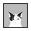Chat, impression sur toile tendue-19741615-74756735-74756736