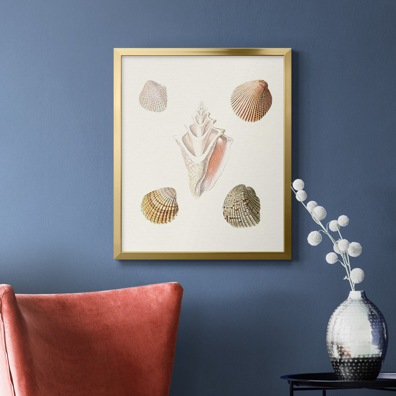 Toile encadrée Pastel Knorr Shells, H 24 po x l 20 po, Or