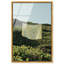 Floating Cotton II High-Gloss Frameless Acrylic Glass Wall Art Bath & Laundry Print by Oliver Gal, Ready to Hang, 10 x 15-555853782-785867363