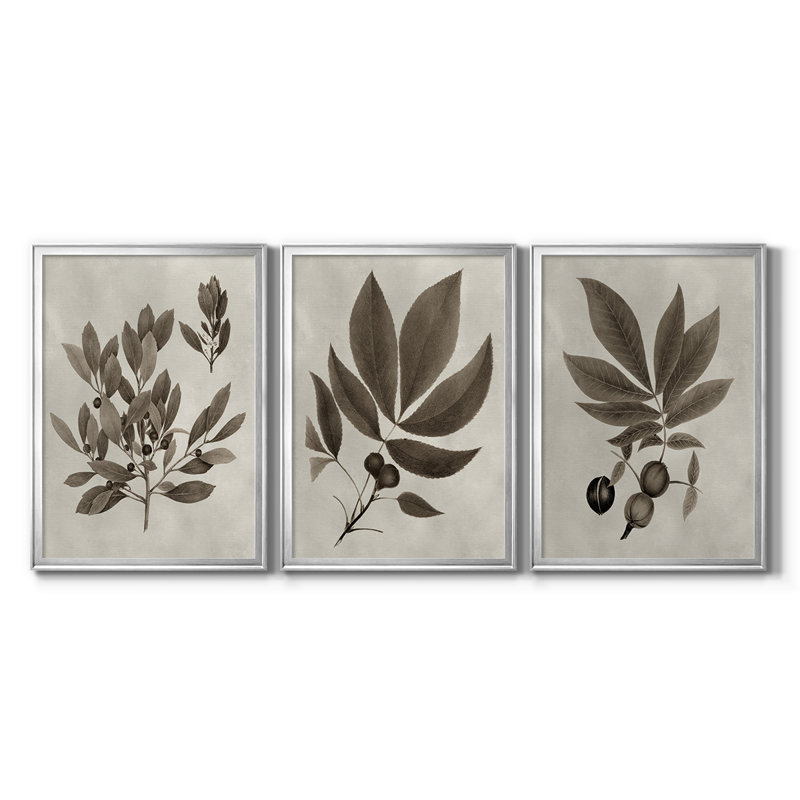 Arbor Speciment IV - Toile tendue avec châssis sur mesure - 3 pièces, H 15 po x l 19 po, Argent argent