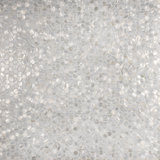 Conchella Penny White 11-1/4" x 11-5/8" Natural Shell Mosaic Tile