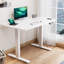 Dionysius Electric Height Adjustable Standing Desk-440823782-487463098-532283478