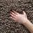 Assar Area Rug-1030296506-996511793