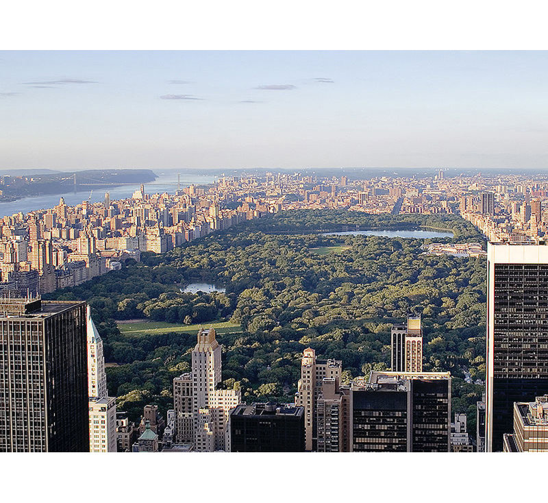New York, Central Park, H 28 po x l 38 po
