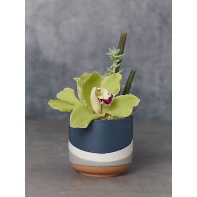 Pot de fleurs en céramique Tami