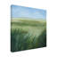 Bolognaise "Tall Grass Plains I" sur toile-98248806