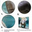 Curious Manatee Gaze III - Art mural lamantin-1337719446-1337719443