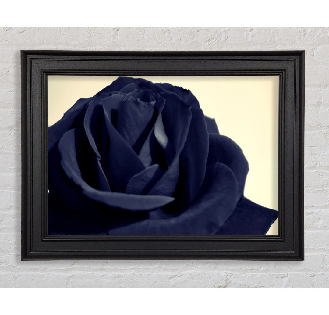 Schwarz Blaue Rose Gerahmter Druck