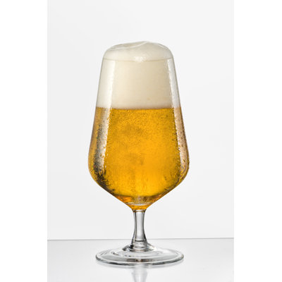Sandra Beer Glass 500ml / 16oz Set/6