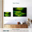 Harmonie verte Avery-107691841