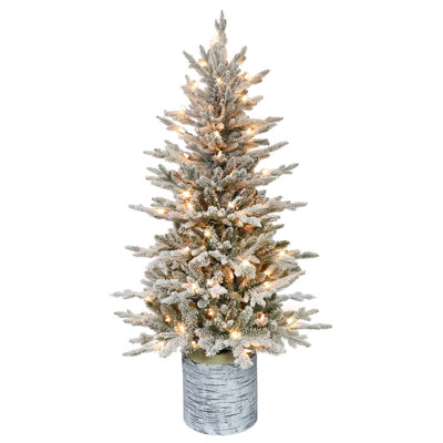 54' Lighted Artificial Fir Christmas Tree