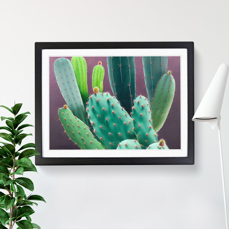 XH1022-10305X Wonderful Cactus - Single Picture Frame Print, 46cm H x 64cm W x 2cm D, Black Framed