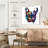Crowle Frenchie Colors