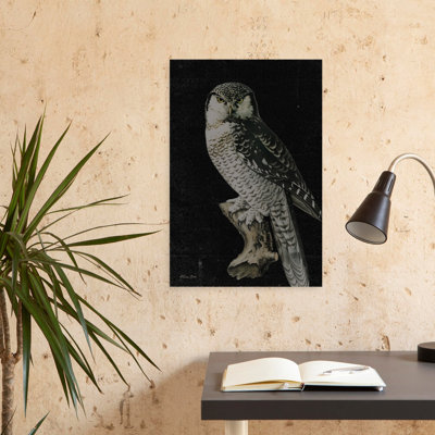 Moody Owl