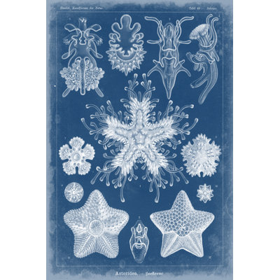 Marine Blueprint III - Wrapped Canvas Print