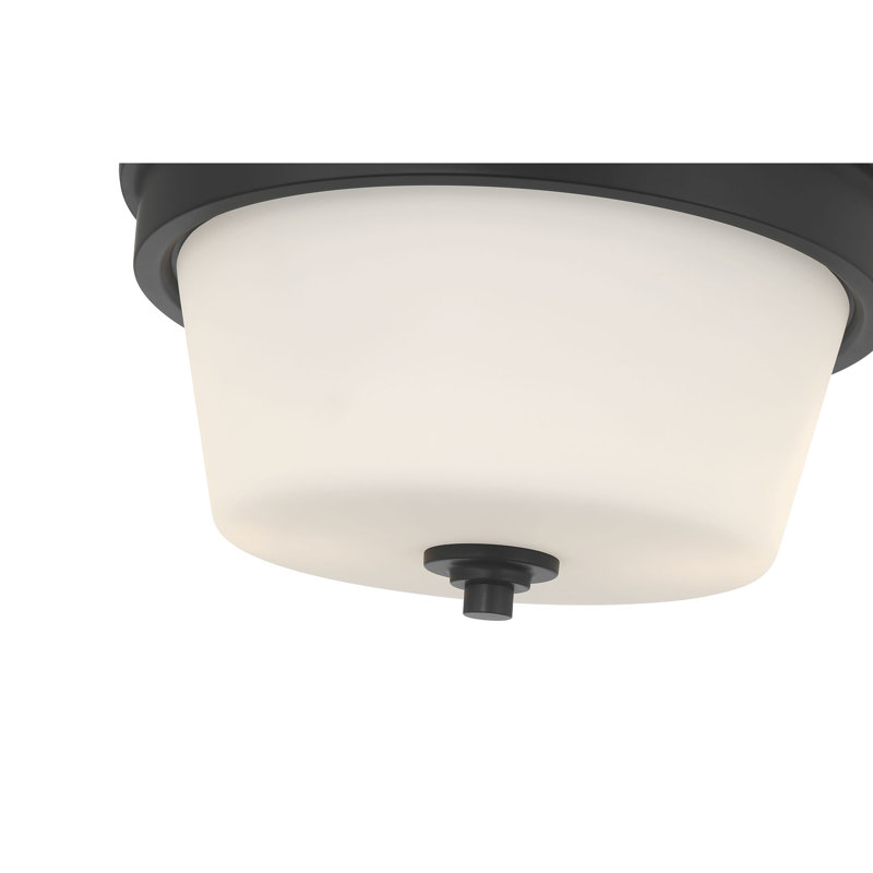 Plafonnier encastré 2 lumières Strayhan, Noir mat