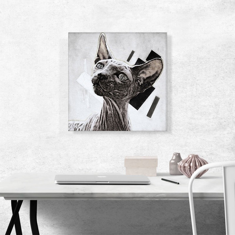 «Sphynx Cat Breed White», impression sur toile tendue, H 18 po x l 18 po x P 0,75 po