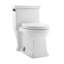 Voltaire One-Piece Elongated Toilet Dual-Flush 1.1/1.6 gpf-44636278-82677394