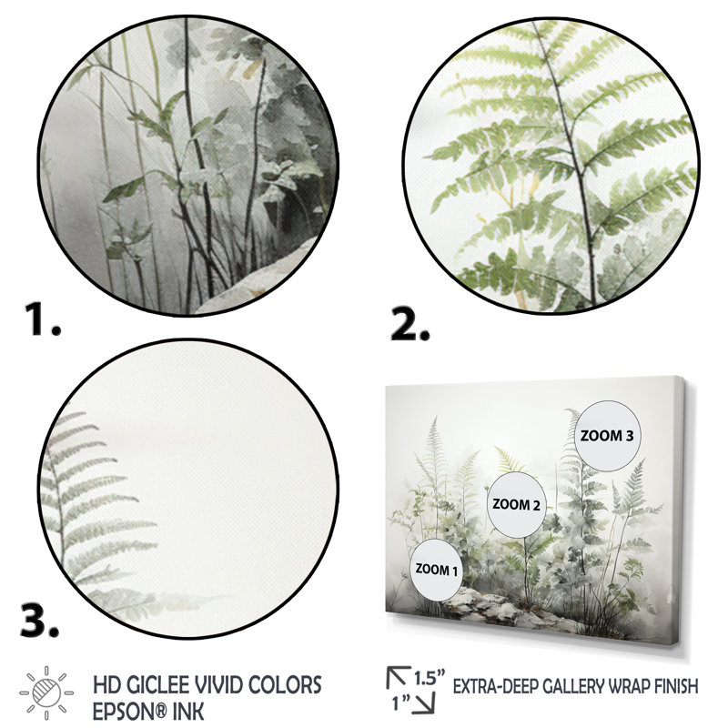 Ferns Silver Whispers I - fougères, art mural encadré, H 24 po x l 32 po x P 1 po, Cadre flottant noir