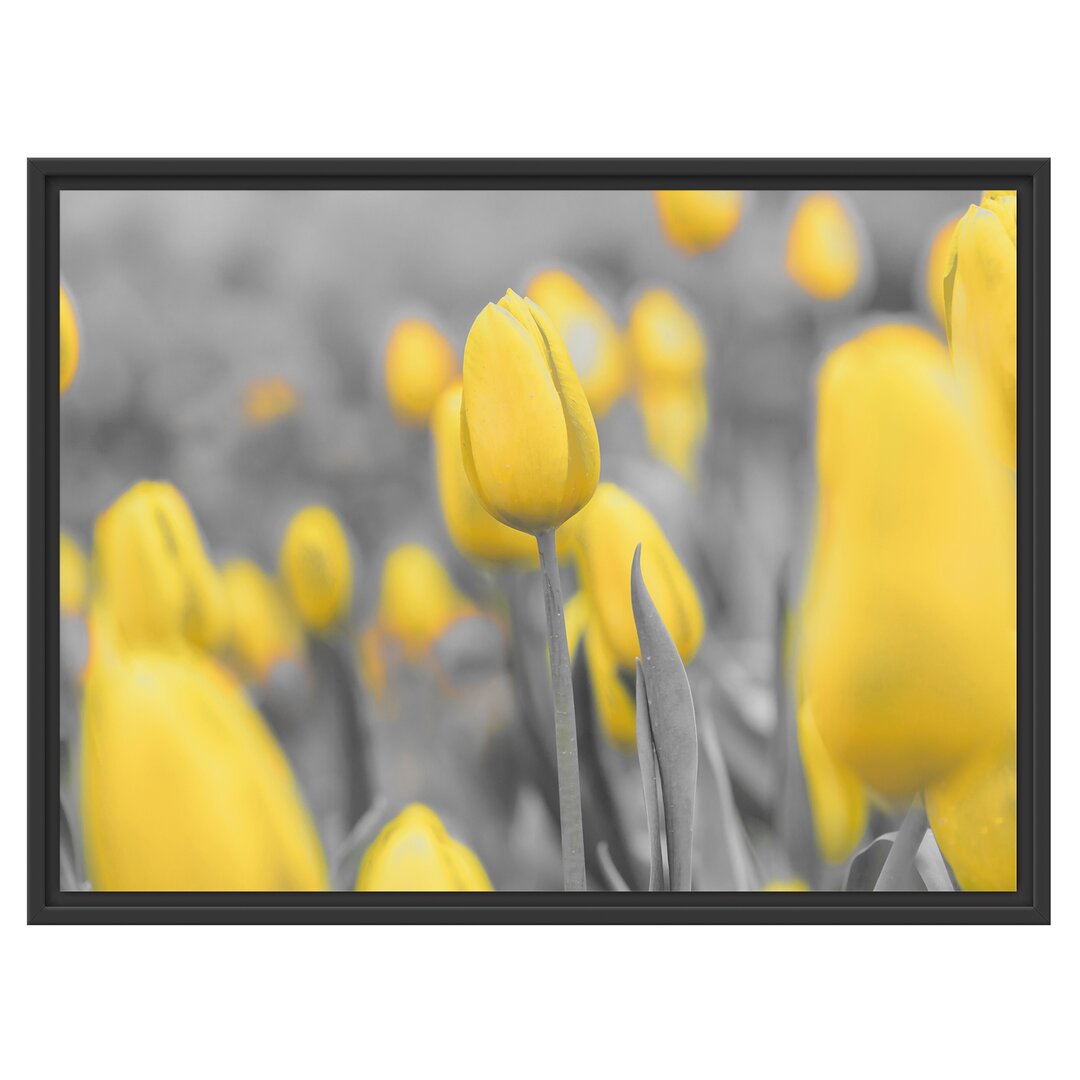 Gerahmtes Wandbild Gelbes Tulpenmeer