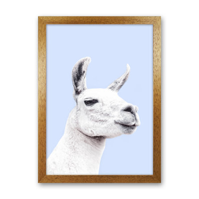 Blue Llama 1 Piece Wall Art