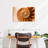 Aletra Nautilus Shell Inside-107680922