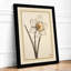 Single Stem in Gold Botanical - Framed Print-1122769841-1122769842
