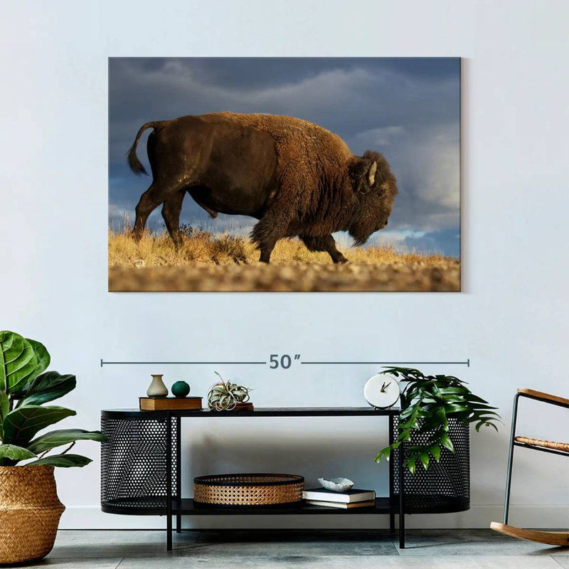 Brampt Walking American Bison, 32" H x 48" W
