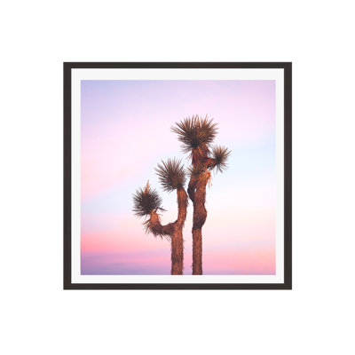Desert Skies by Catherine McDonald