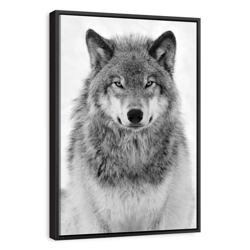 Mighty Timber Wolf, 9 po x 13 po, Cadre flottant noir