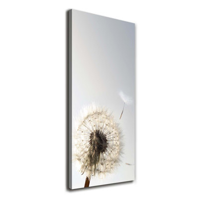 Dandelion - Wrapped Canvas Print