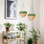 Planter