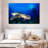 Brampt Underwater Hawksbill Turtle-108815841