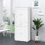 Accent, armoire de cuisine autoportante avec 2 grandes portes doubles et 1 tiroir central