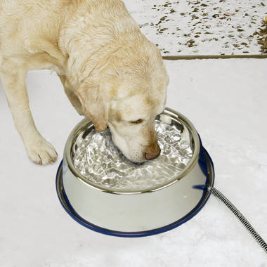 Farm Innovators 6 qt. Round Heated Plastic Pet Bowl, P-60B at