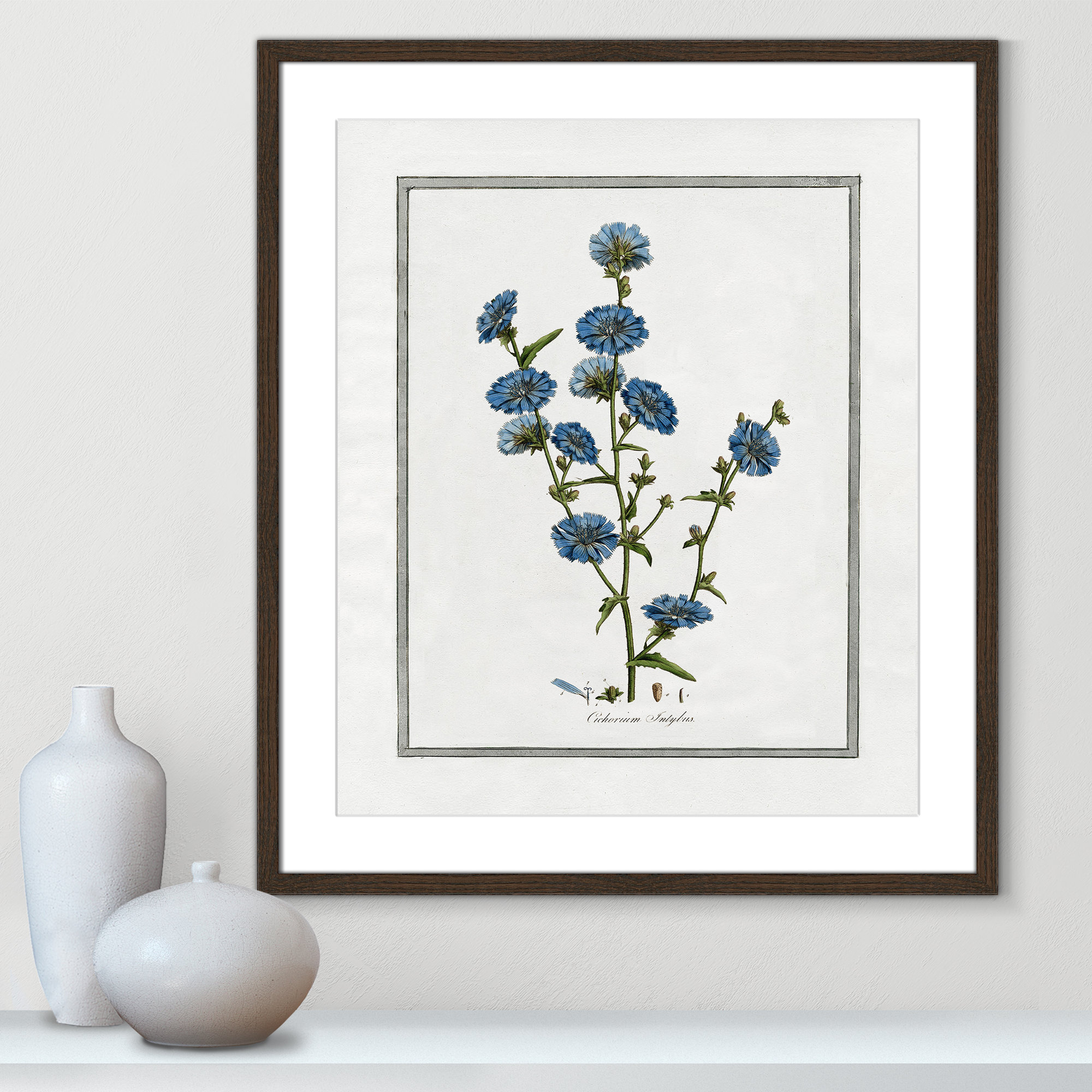 Soft Botanical I - Framed Art Full Bleed, Walnut Framed, 21.5" W x 25.5" H