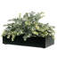 Pot d'eucalyptus artificiel noir