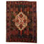 Oriental Area Rug in Rust