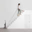 Dyson Ball Animal 3 Upright Vacuum