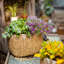 Pot à fleurs en ciment-544758836